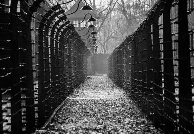 auschwitz-fences