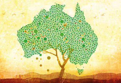australia-tree