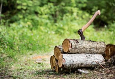 Axe left in wood