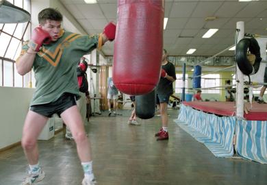 Boxer