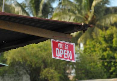 A building with plam trees behind it and a 'we're open' sign, illustrating branch campuses 
