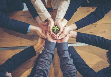 Business people hold a small plant, symbolising business school impact