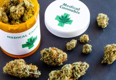 Cannabis