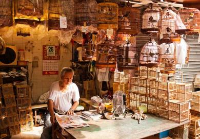Chinese man in shop with cages