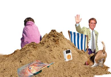 Cliff Richard and cuttlefish on the beach