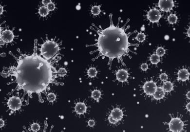 White coronaviruses that resemble snowflakes