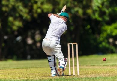 cricket