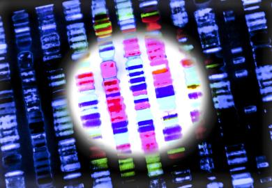 A DNA sequence
