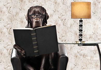 dog book lamp
