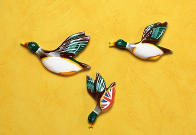 Duck ornaments on a yellow wall with one flying downwards