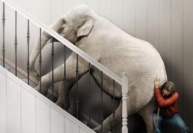 elephant push