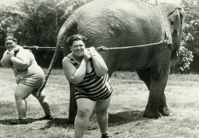 Two people dragging an elephant