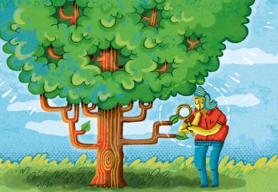 Elly Walton illustration (1 October 2015)