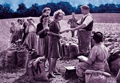 farm workers being paid
