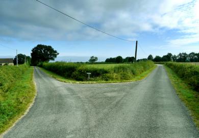 Fork in the Road