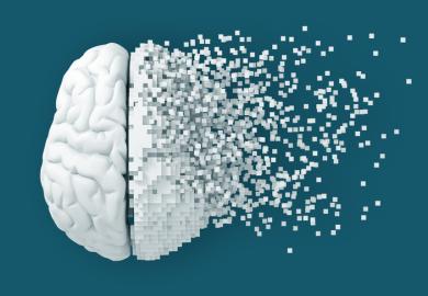 A fragmenting brain
