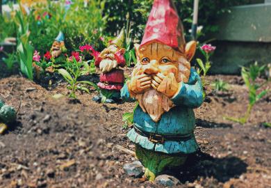Giggling garden gnome