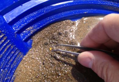A gold nugget in a pan of grit, symbolising scarcity value