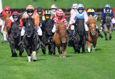 Horse race