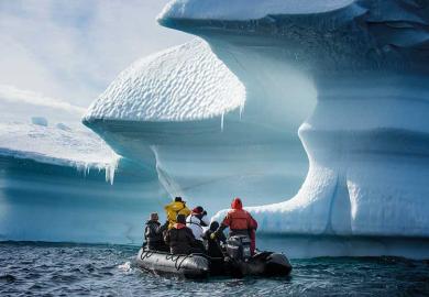 Iceberg