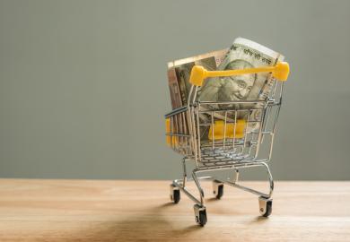 Indian banknotes in a small shopping trolley