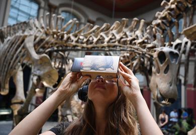 Interactive app at natural history museum