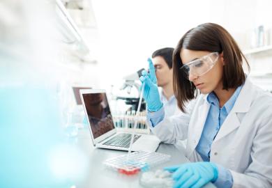 Lab