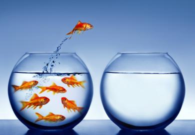 change, alternative
