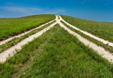 Two tracks in a field merge into one, illustrating mergers