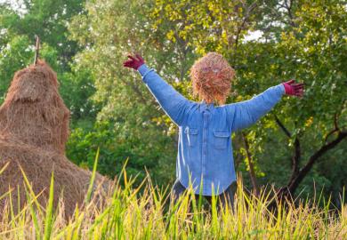 Straw scarecrow