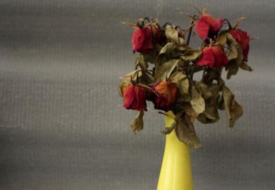 Withered