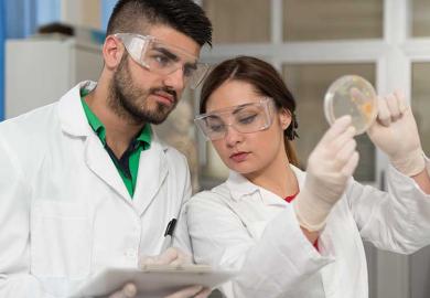 lab_test_alamy