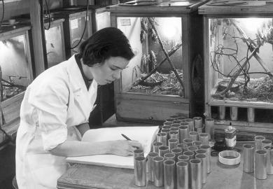Scientist working