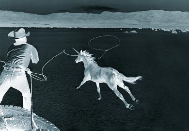 Is chasing unicorns the way to achieve commercial success?
