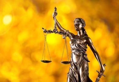 Law