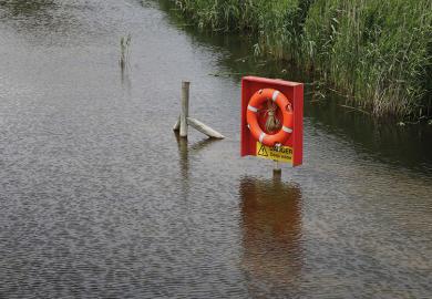 Lifebelt in water