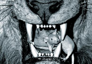 Mouse in a lion’s mouth