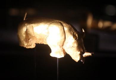 The Mapungubwe Rhino