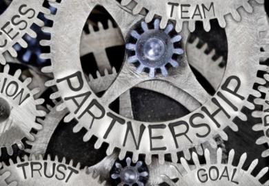 Cog wheels