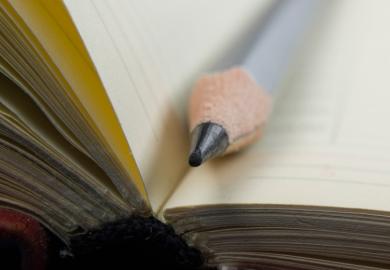 Pencil lying on open diary