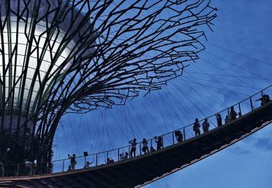 People on Supertree suspension bridge, Garden by the Bay, Singapore