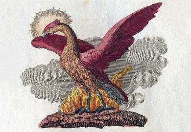 Phoenix