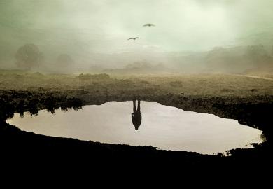 Person's reflection in pond, with their body missing. To illustrate the sense of grief brought on by the large numbers of job cuts across higher education in the UK