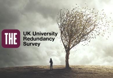 Person looking at tree with leaves blowing away and the THE UK University Redundancy Survey logo.