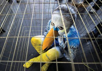 Sad young woman dressed as bird in cage