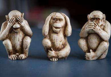 Monkeys seeing, hearing and saying no evil