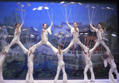 The New Shanghai Circus 