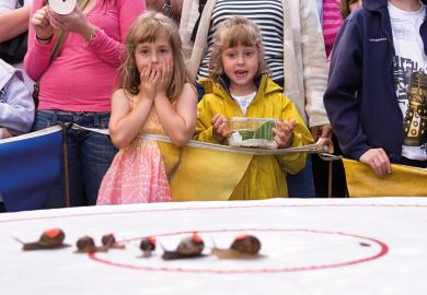 Snail race