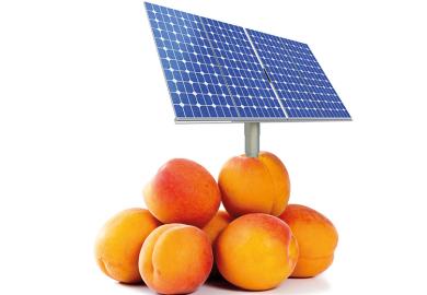 Solar panel in peaches