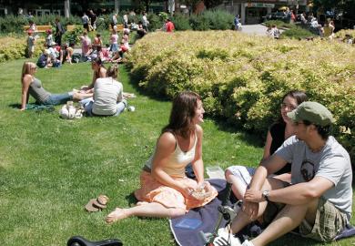 Students sitting on a lawn